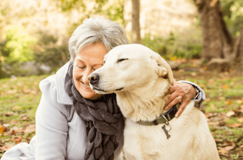 Rescue Dogs taking over Aged Care Homes Australia-wide