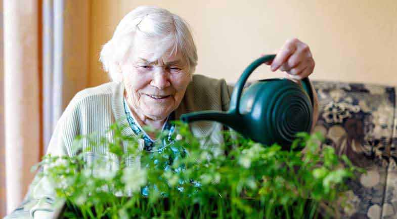 Older woman watering a plant with a watering can