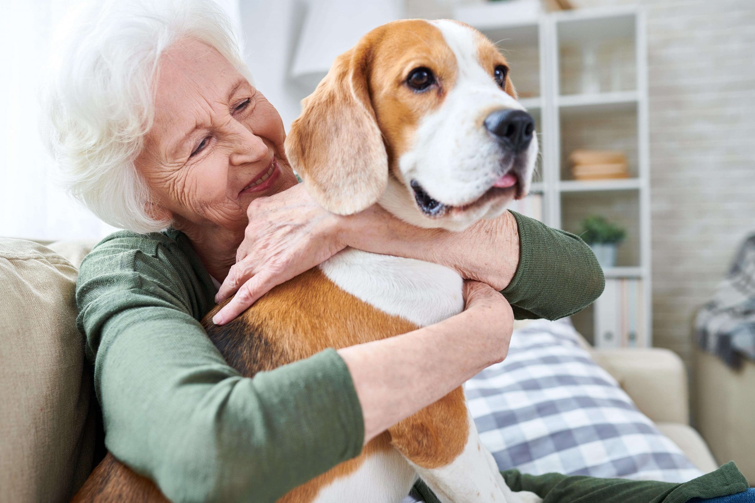 shutterstock_1075458587-min (1)